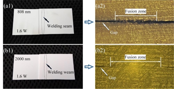 圖片：0.808μm和2μm激光焊接白色PP結(jié)果：(a1,b1)實物圖;(a2,b2)截面切片顯微圖